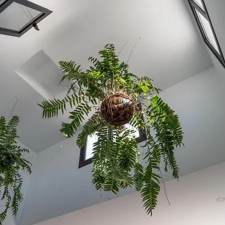 Casa Barbara 펜션 티아즈