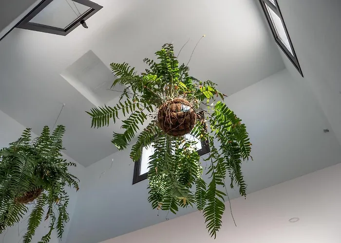 Casa Barbara Tatil Evi Tías